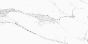 Керамогранит NT Ceramic Infinity Statuario арт. NTT9125M (60x120) матовая
